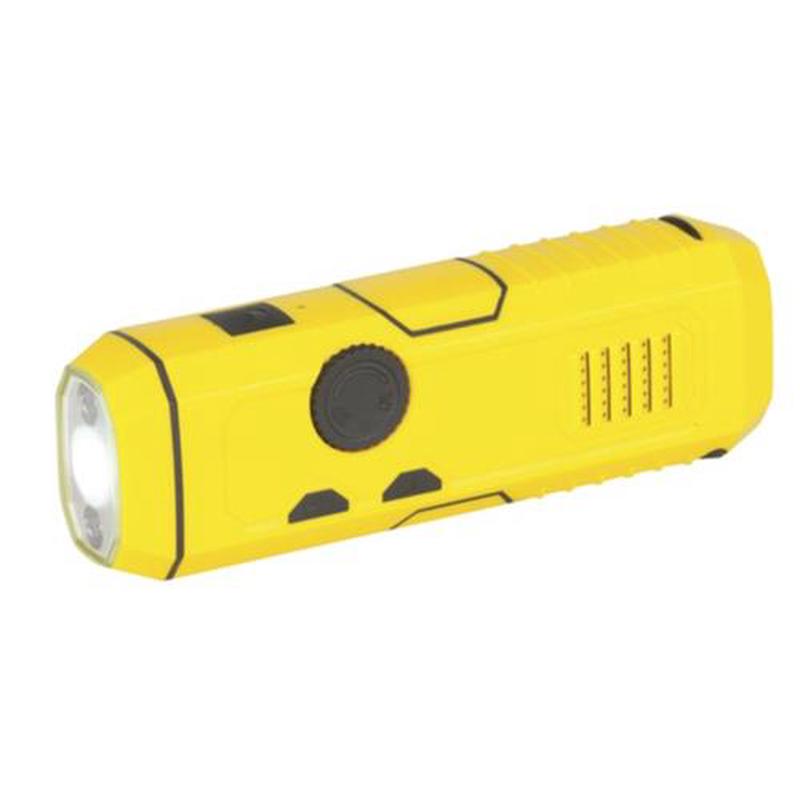 4 in 1 Dynamo Radio (FM/AM)