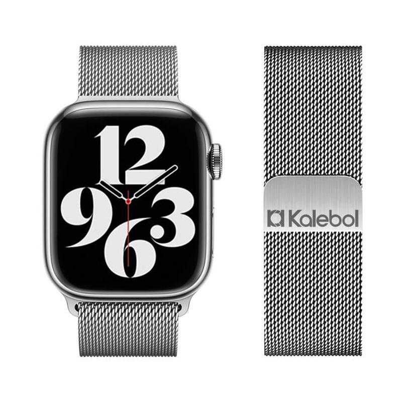 For Apple Watch 46mm / 49mm / 45mm / 44mm Kalebol Magnetic Stainless Steel Watch Band(Silver)